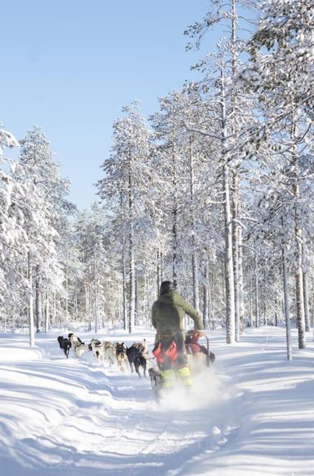 Arctic Circle Home Close To Santa'S Village Rovaniemi Exterior photo